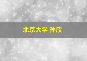 北京大学 孙欣